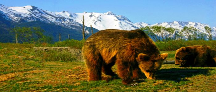 ECHO ALASKA: Frontiers of Multimodality Imaging Including Echo, Cardiac CT, and MRI