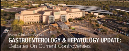 4th Gastroenterology and Hepatology Update: Debates on Current Controversies