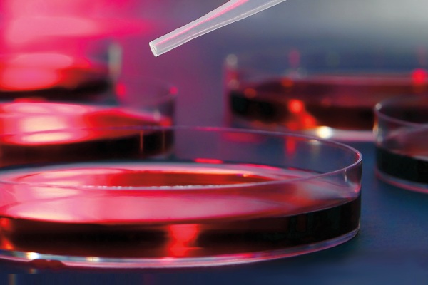 30th Annual Mayo Clinic Hematology/Oncology Reviews 2021