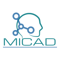 The 2020 International Conference on Medical Imaging and Computer-Aided Diagnosis 