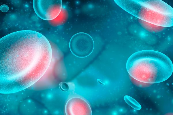 Mayo Clinic Updates in CAR-T Cell Therapy 2021