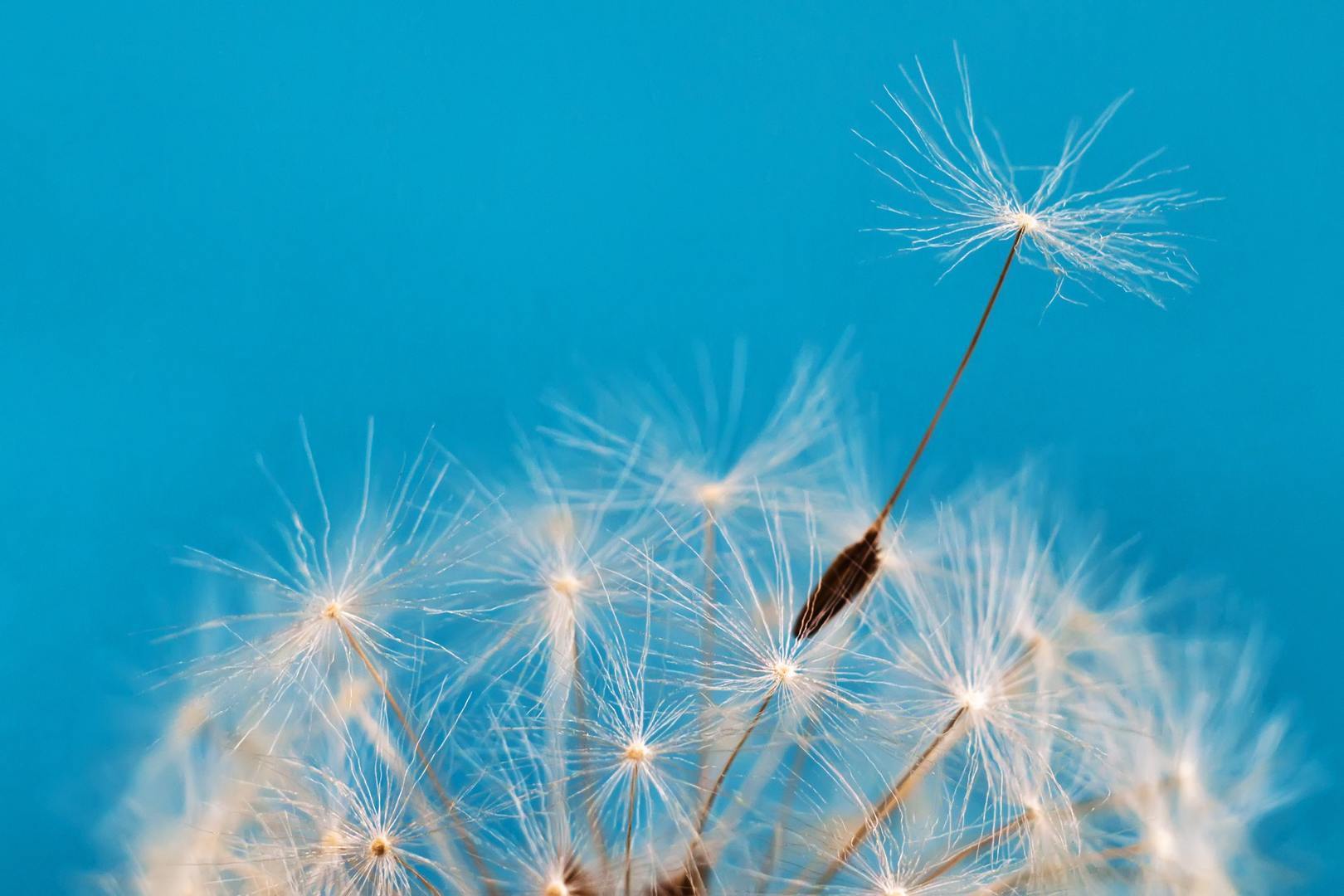 Pharma and Patient USA