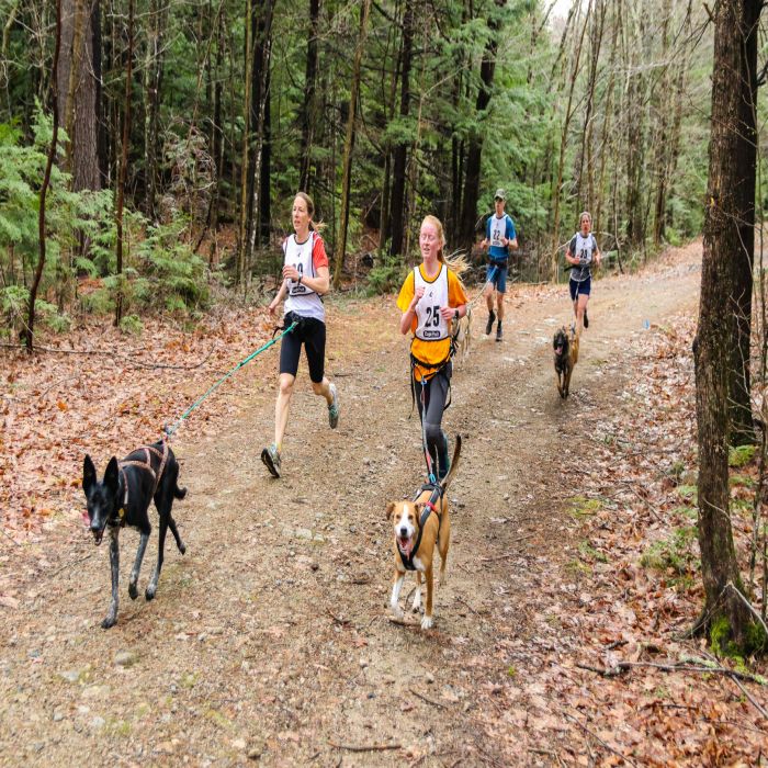 Gunstock TrailFest