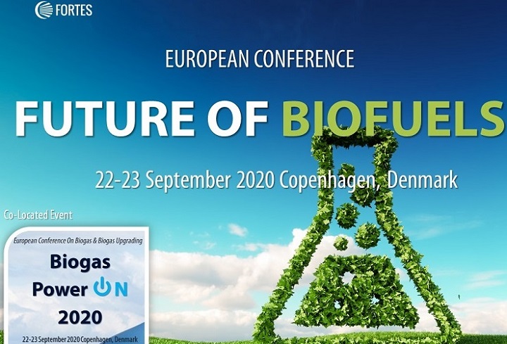 Future of Biofuels 2020