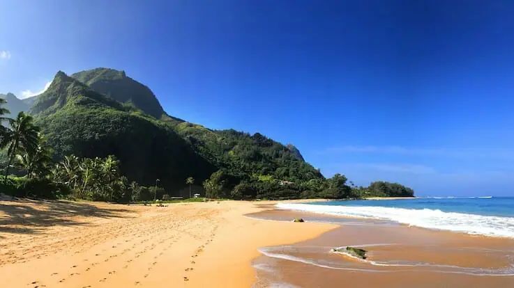 Diagnostic Imaging Update on Kauai- June 23-25, 2024