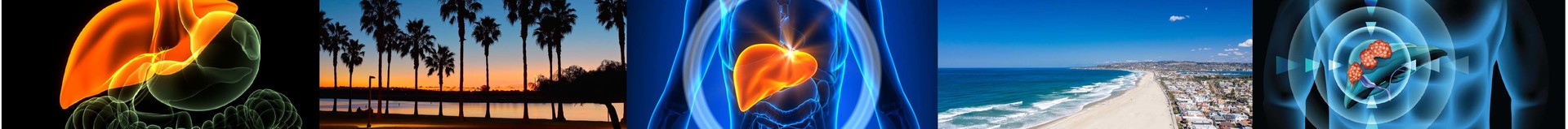 36th Annual New Treatments in Chronic Liver Disease CME Conference