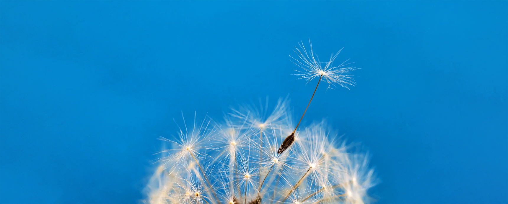 Pharma Marketing USA