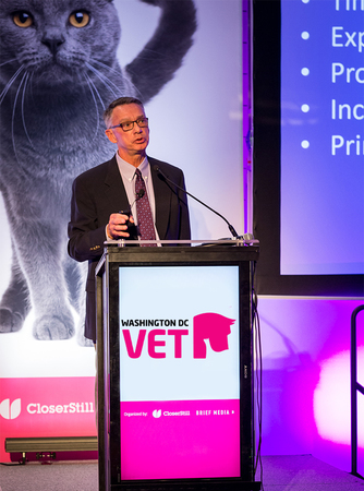 Washington DC Vet 2020