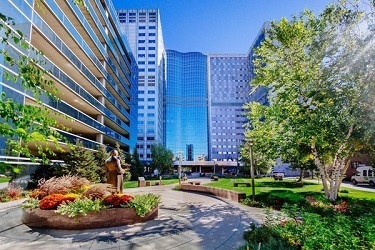 Physician Assistant Board Review 2022