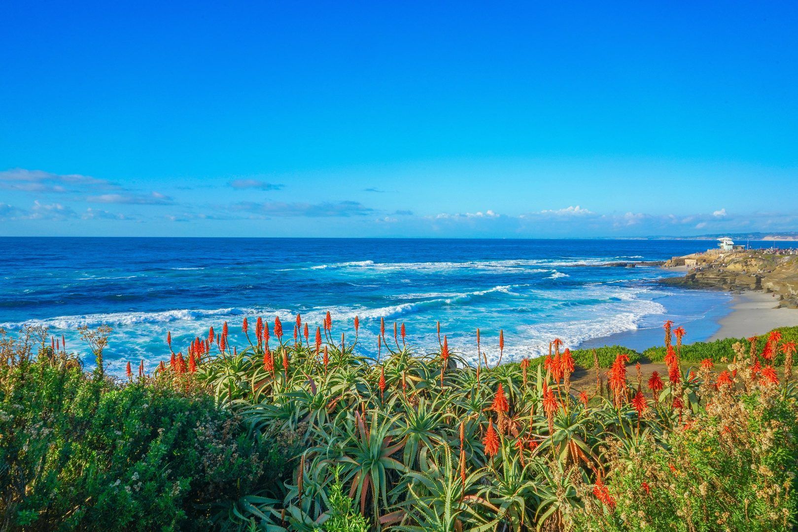 2022 Scripps MD Anderson Cancer Center's Clinical Hematology & Oncology CME Conference