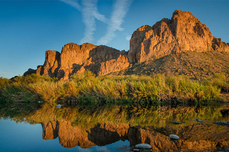 Mayo Clinic Nephrology and Transplantation for the Clinician 2020