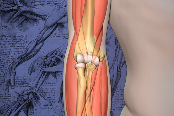 Mayo Clinic "Teach the Teachers" Elbow Course 2023 - Trauma