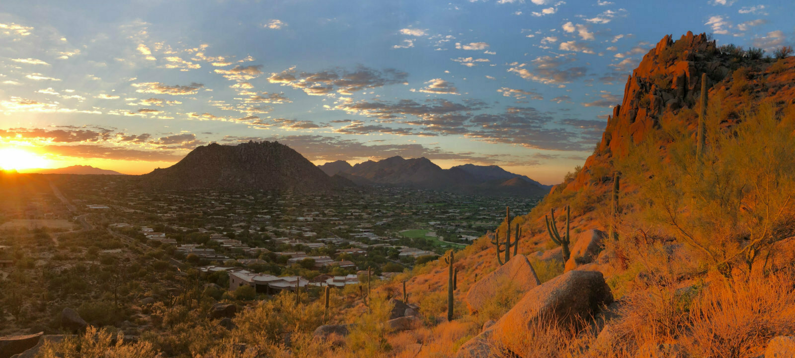 Mayo Clinic MSK Imaging: Excellence through Clinical Collaboration -Scottsdale, AZ- Sept 14-16, 2023