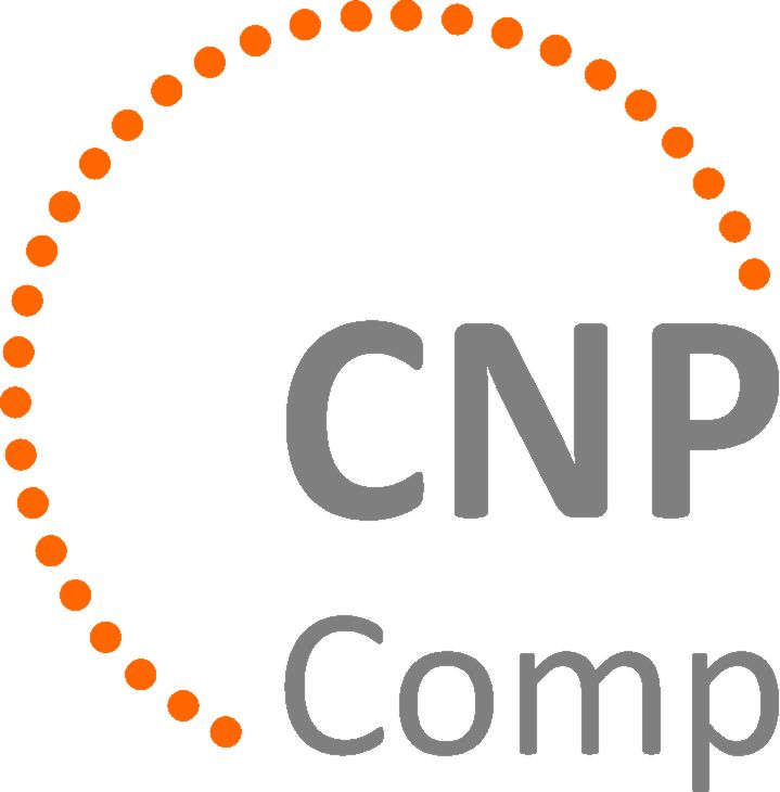 6th Int. Conf. on Carbon NanoParticle Based Composites