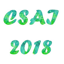 ACM--2nd Int. Conf. on Computer Science and Artificial Intelligence--Ei Compendex, Scopus